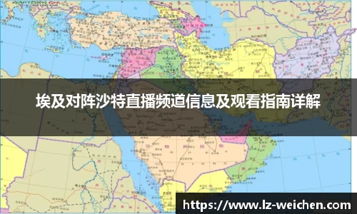 埃及对阵沙特直播频道信息及观看指南详解
