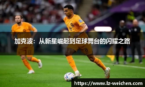 加克波：从新星崛起到足球舞台的闪耀之路